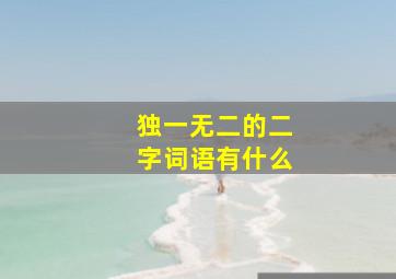 独一无二的二字词语有什么