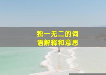 独一无二的词语解释和意思