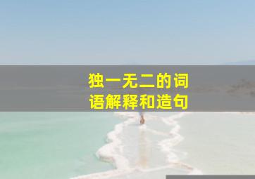 独一无二的词语解释和造句