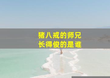 猪八戒的师兄长得俊的是谁