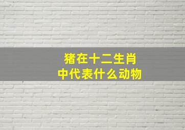 猪在十二生肖中代表什么动物