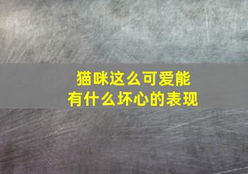 猫咪这么可爱能有什么坏心的表现