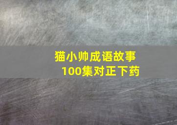 猫小帅成语故事100集对正下药