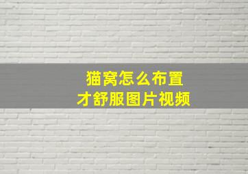 猫窝怎么布置才舒服图片视频