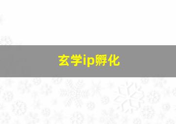 玄学ip孵化