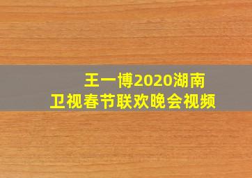 王一博2020湖南卫视春节联欢晚会视频