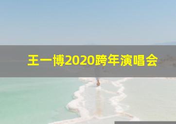 王一博2020跨年演唱会