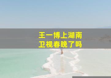 王一博上湖南卫视春晚了吗