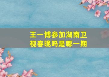 王一博参加湖南卫视春晚吗是哪一期