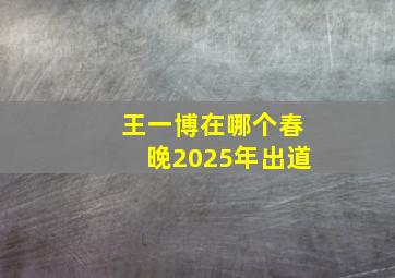 王一博在哪个春晚2025年出道