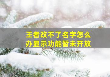 王者改不了名字怎么办显示功能暂未开放