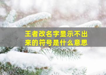 王者改名字显示不出来的符号是什么意思