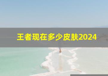 王者现在多少皮肤2024