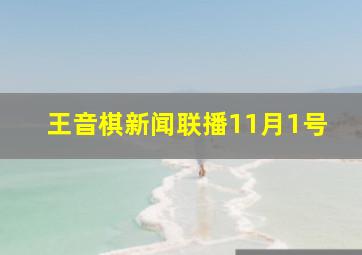 王音棋新闻联播11月1号