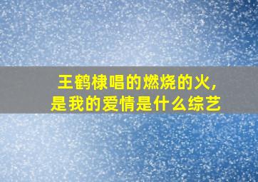 王鹤棣唱的燃烧的火,是我的爱情是什么综艺