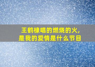 王鹤棣唱的燃烧的火,是我的爱情是什么节目