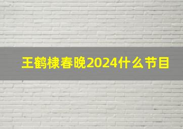 王鹤棣春晚2024什么节目