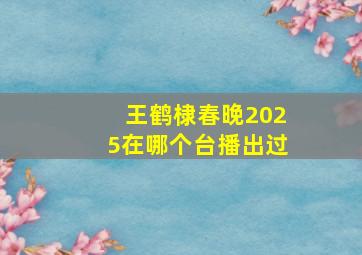 王鹤棣春晚2025在哪个台播出过