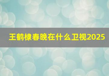 王鹤棣春晚在什么卫视2025