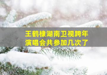 王鹤棣湖南卫视跨年演唱会共参加几次了