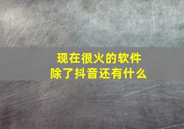 现在很火的软件除了抖音还有什么