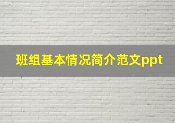 班组基本情况简介范文ppt