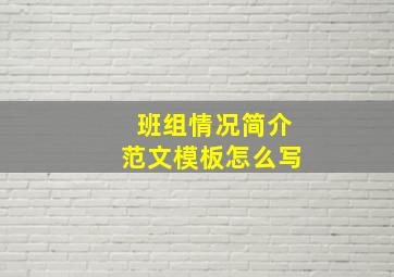 班组情况简介范文模板怎么写