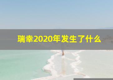 瑞幸2020年发生了什么