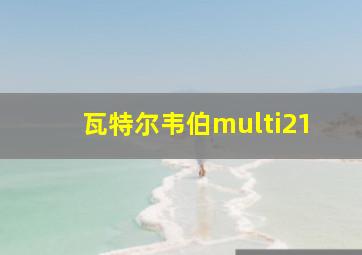 瓦特尔韦伯multi21