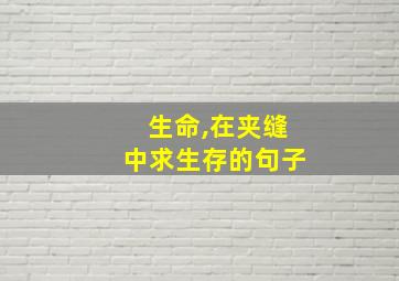 生命,在夹缝中求生存的句子