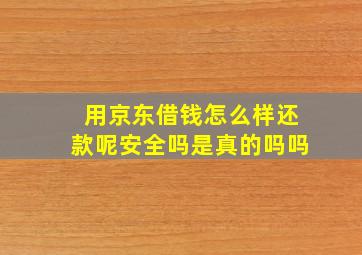 用京东借钱怎么样还款呢安全吗是真的吗吗