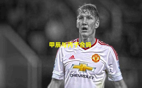 甲辰与丙子合吗