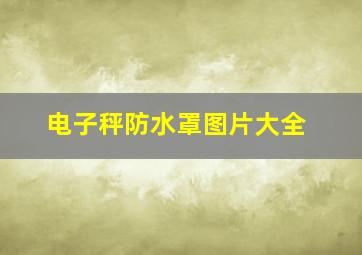 电子秤防水罩图片大全