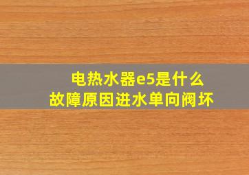 电热水器e5是什么故障原因进水单向阀坏