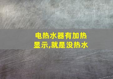 电热水器有加热显示,就是没热水