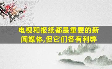 电视和报纸都是重要的新闻媒体,但它们各有利弊