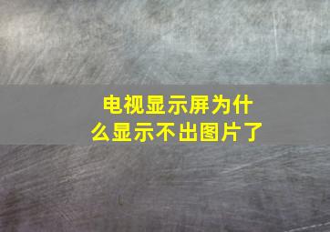 电视显示屏为什么显示不出图片了