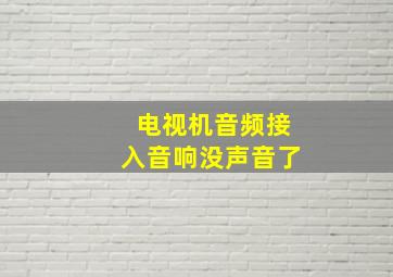 电视机音频接入音响没声音了