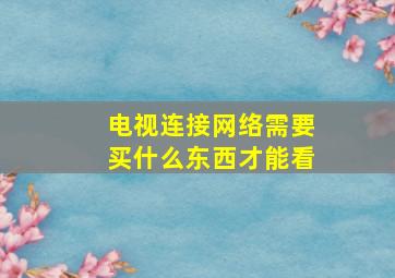 电视连接网络需要买什么东西才能看