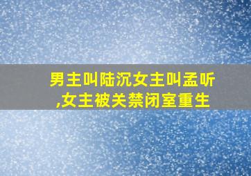 男主叫陆沉女主叫孟听,女主被关禁闭室重生