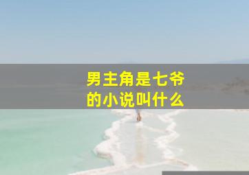 男主角是七爷的小说叫什么