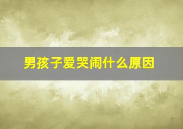 男孩子爱哭闹什么原因