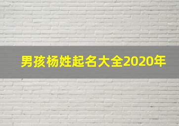 男孩杨姓起名大全2020年