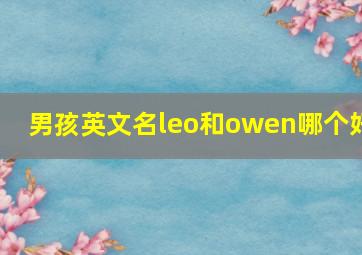 男孩英文名leo和owen哪个好