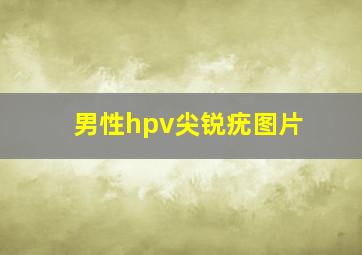 男性hpv尖锐疣图片