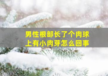 男性根部长了个肉球上有小肉芽怎么回事