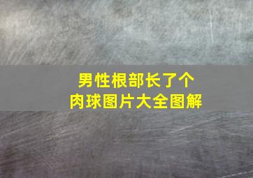 男性根部长了个肉球图片大全图解