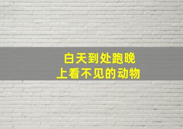 白天到处跑晚上看不见的动物