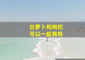 白萝卜和枸杞可以一起炖吗