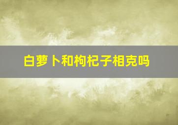 白萝卜和枸杞子相克吗